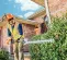 Orange, black, white and silver STIHL Double-sided Hedge Trimmer, 24 in., Gas Powered