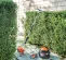 Orange, black, white and silver STIHL Double-sided Hedge Trimmer, 24 in., Gas Powered