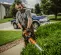 Orange Stihl hedge trimmer with 30 inch blade being used to cut hedges