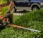 Orange Stihl hedge trimmer with 30 inch blade being used to cut hedges