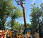 2016 JCB 510-56 S Forklift