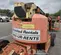 2017 JLG E450AJ Articulating Boom Lift