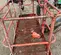 2019 Skyjack SJ86T Boom Lift