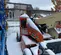 2015 JLG E450AJ Articulating Boom Lift