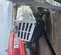 2019 ROTAIR D185 T4F Air Compressor
