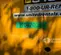 2016 JCB 510-56 S Forklift