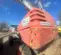 2016 Skyjack SJ40T Boom Lift