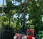 2017 Skyjack SJ643TH Forklift
