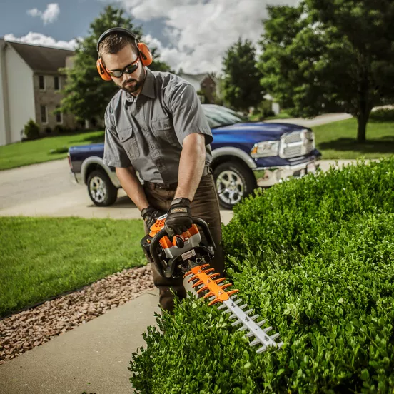 Orange Stihl hedge trimmer with 30 inch blade being used to cut hedges